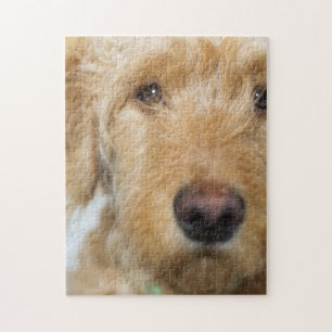 Goldendoodle Puppy Closeup Puzzle