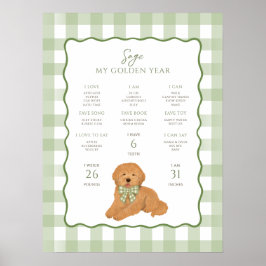 Goldendoodle Puppy Dog 1st Birthday Milestone Poster