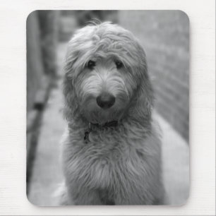 Goldendoodle Puppy In Backyard Mousepad