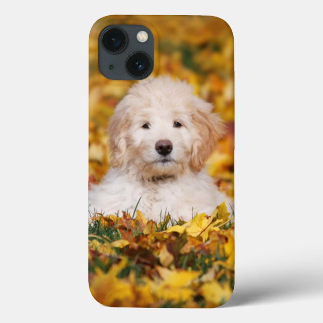 Goldendoodle Puppy In Fall Leaves Case-Mate iPhone Hülle (Rückseite)