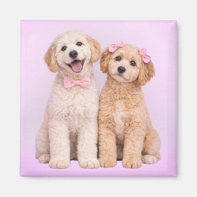 Goldendoodle Puppy Love Valentine Magnet (Vorne)