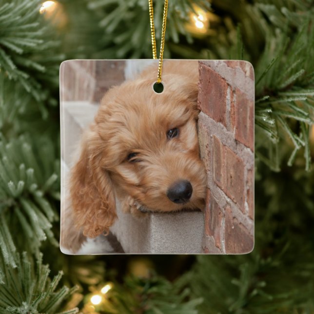 Goldendoodle Puppy Peeking Keramikornament (Baum)