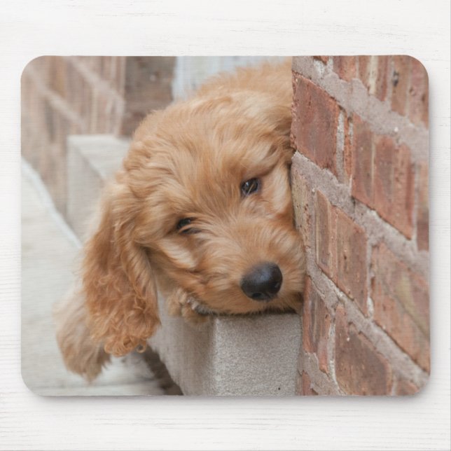 Goldendoodle Puppy Peeking Mousepad (Vorne)