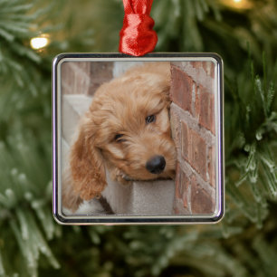 Goldendoodle Puppy Peeking Ornament Aus Metall