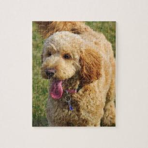 Goldendoodle Puzzle