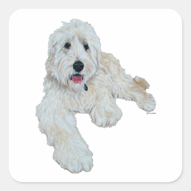 Goldendoodle Quadratischer Aufkleber (Vorderseite)