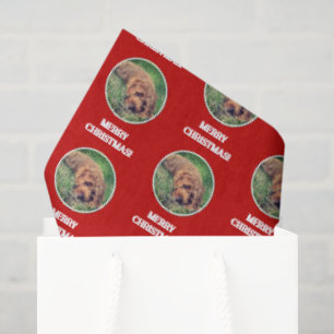 Goldendoodle rotes Geschenkpapier Seidenpapier