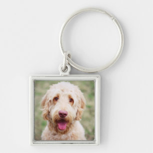 Goldendoodle Schlüsselanhänger