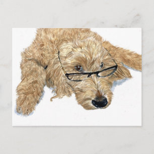 Goldendoodle Stella Postcard Postkarte