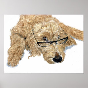 Goldendoodle Stella Print Poster
