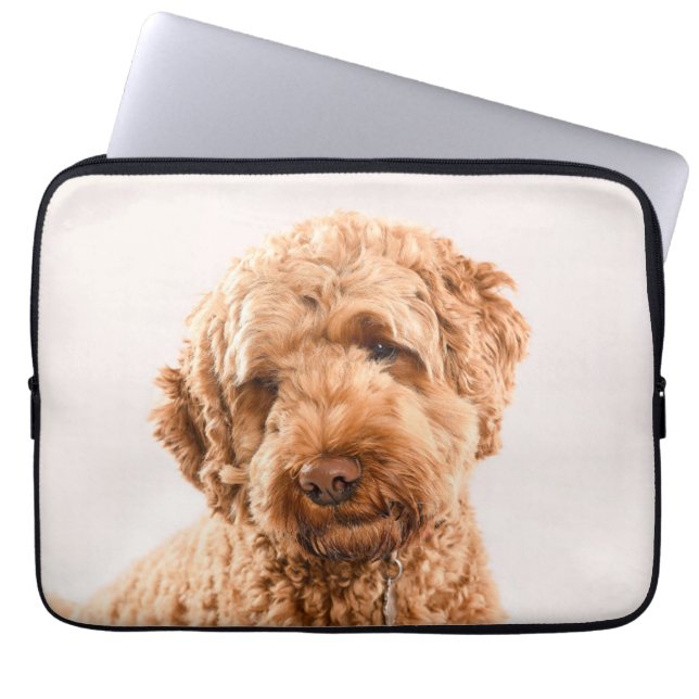 Goldendoodle Studio Laptopschutzhülle (Vorderseite)