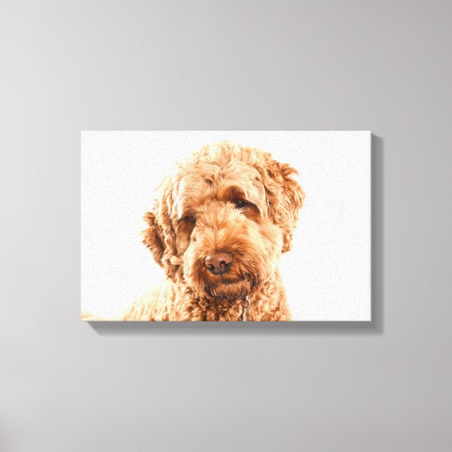 Goldendoodle Studio Leinwanddruck (Vorderseite)