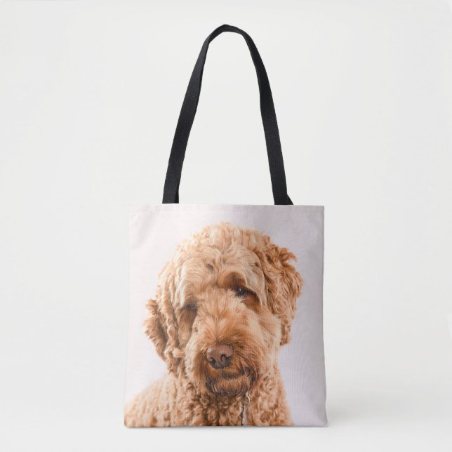 Goldendoodle Studio Portrait (Vorderseite)
