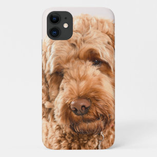Goldendoodle Studio Portrait Case-Mate iPhone Hülle