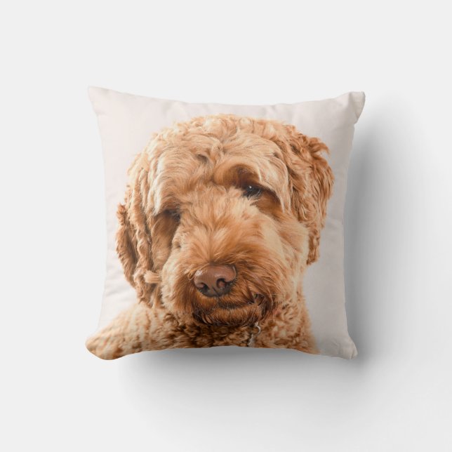 Goldendoodle Studio Portrait Kissen (Vorderseite)