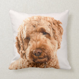 Goldendoodle Studio Portrait Kissen