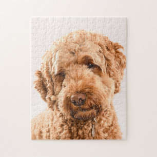 Goldendoodle Studio Puzzle