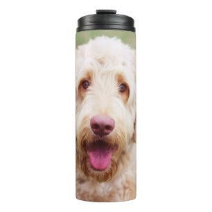 Goldendoodle Thermosbecher