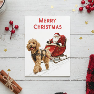 Goldendoodle und Weihnachtsfeiertag für den Weihna Postkarte