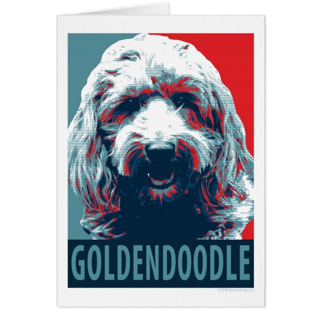 GOLDENDOODLE von Hope Hogs (Vorne)
