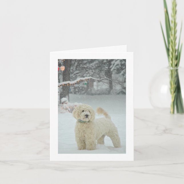 Goldendoodle Weihnachten (Vorderseite)