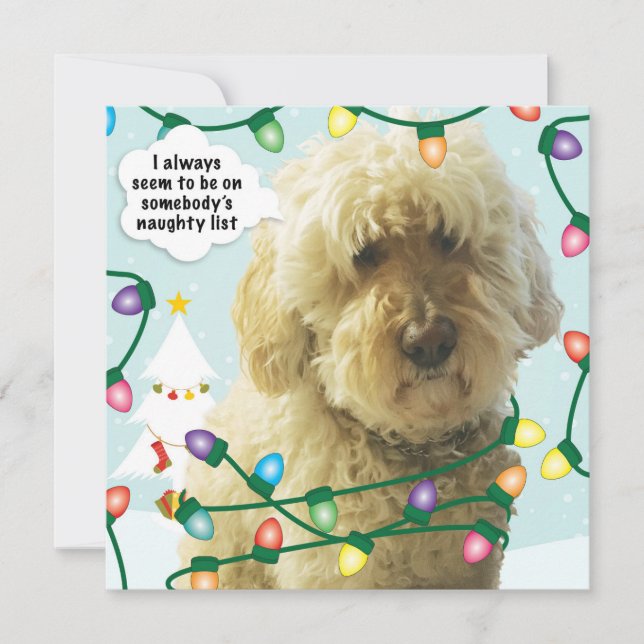 Goldendoodle Weihnachten, Doodle Fun Karte (Vorderseite)