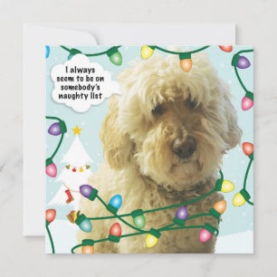 Goldendoodle Weihnachten, Doodle Fun Karte