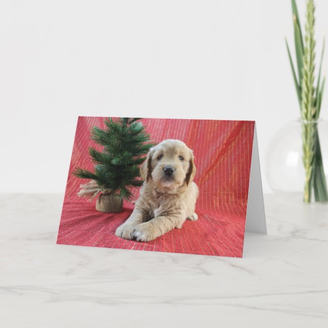 Goldendoodle-Weihnachtskarte Feiertagskarte (Vorderseite)