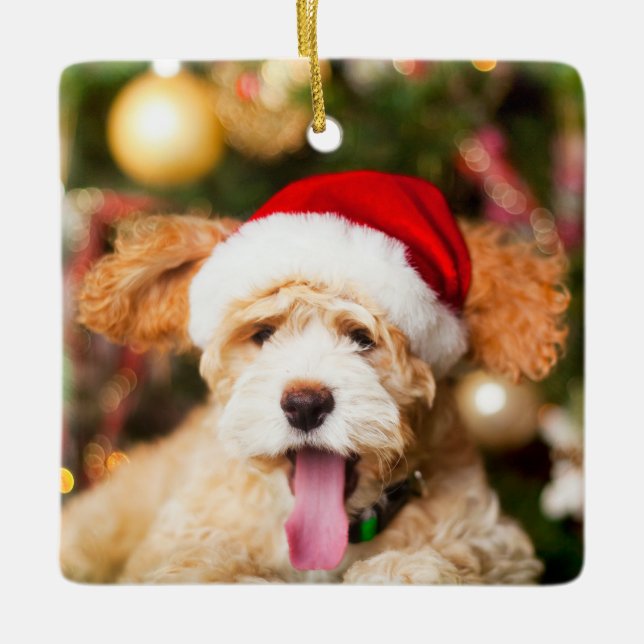 Goldendoodle Weihnachtsschmuck Stone (Vorderseite)