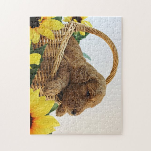 Goldendoodle Welpe 11X14 (252 PC.) Puzzlespiel Puzzle (Vertikal)