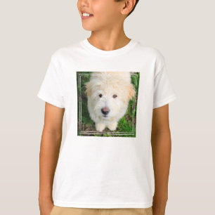 Goldendoodle Welpe Blick auf Kamera T-Shirt