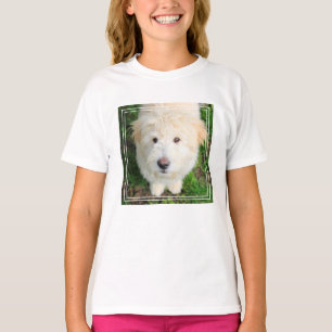 Goldendoodle Welpe Blick auf Kamera T-Shirt