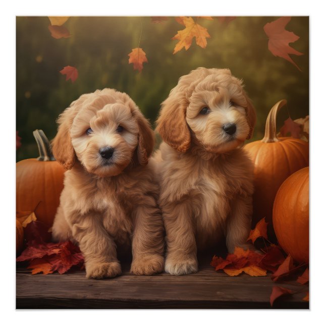 Goldendoodle Welpe Herbst Kürbis Poster (Vorderseite)