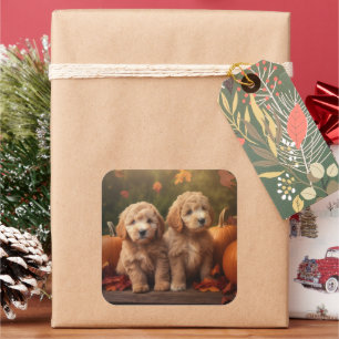 Goldendoodle-Welpe Herbstfreude Kürbis Quadratischer Aufkleber