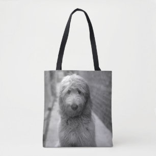 Goldendoodle-Welpe im Garten