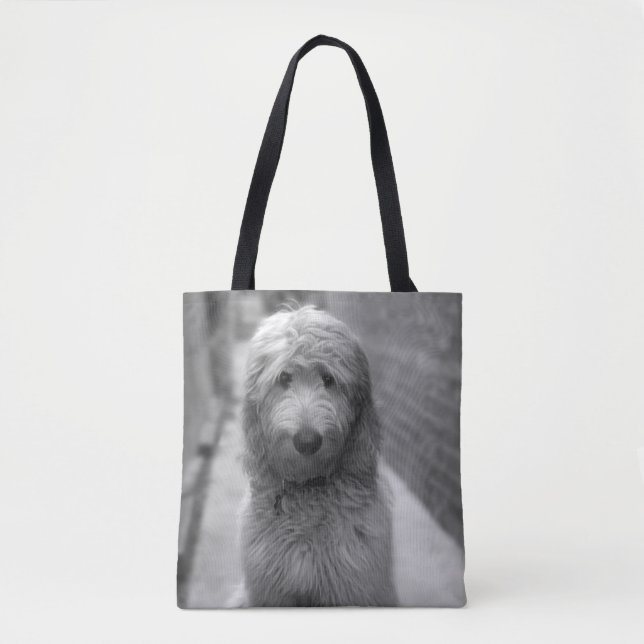 Goldendoodle-Welpe im Garten (Vorderseite)