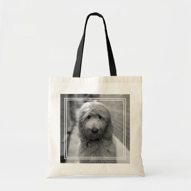 Goldendoodle-Welpe im Garten Tragetasche (Vorne)