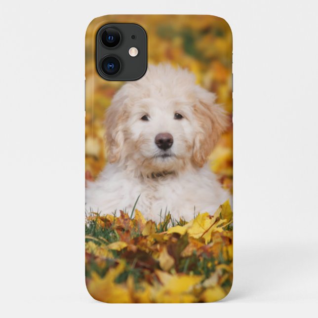 Goldendoodle Welpe in Herbstlauben Case-Mate iPhone Hülle (Rückseite)