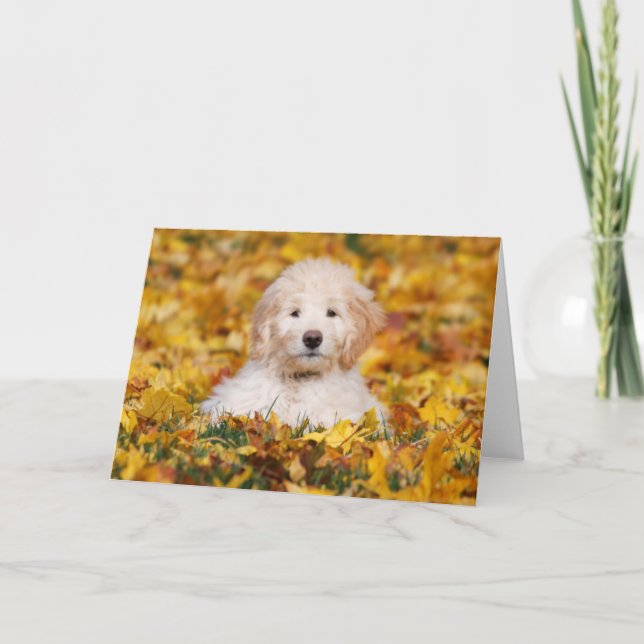 Goldendoodle Welpe in Herbstlauben Karte (Vorderseite)