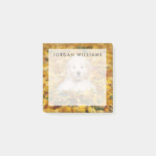 Goldendoodle Welpe in Herbstlauben Post-it Klebezettel