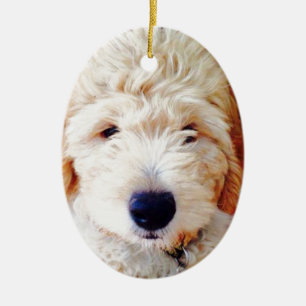 Goldendoodle Welpe Keramik Ornament