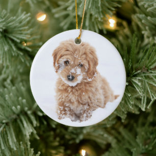 Goldendoodle-Welpe mit Schnee im Gesicht Keramik Ornament