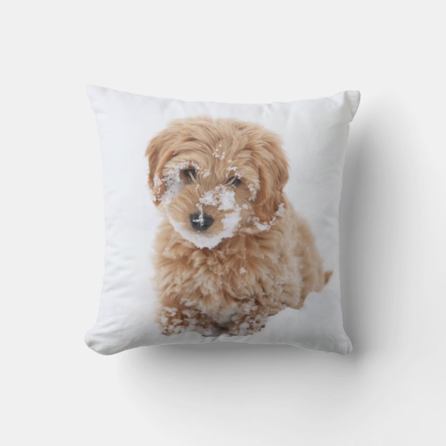 Goldendoodle Welpe mit Schnee im Gesicht Kissen (Vorderseite)