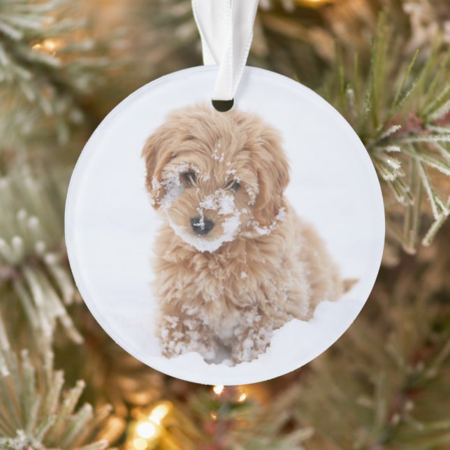Goldendoodle Welpe mit Schnee im Gesicht Ornament (Baum)