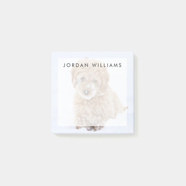 Goldendoodle Welpe mit Schnee im Gesicht Post-it Klebezettel (Vorderseite)