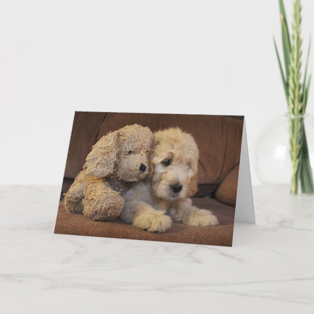 Goldendoodle Welpen-Gruß-Karte Karte (Vorderseite)