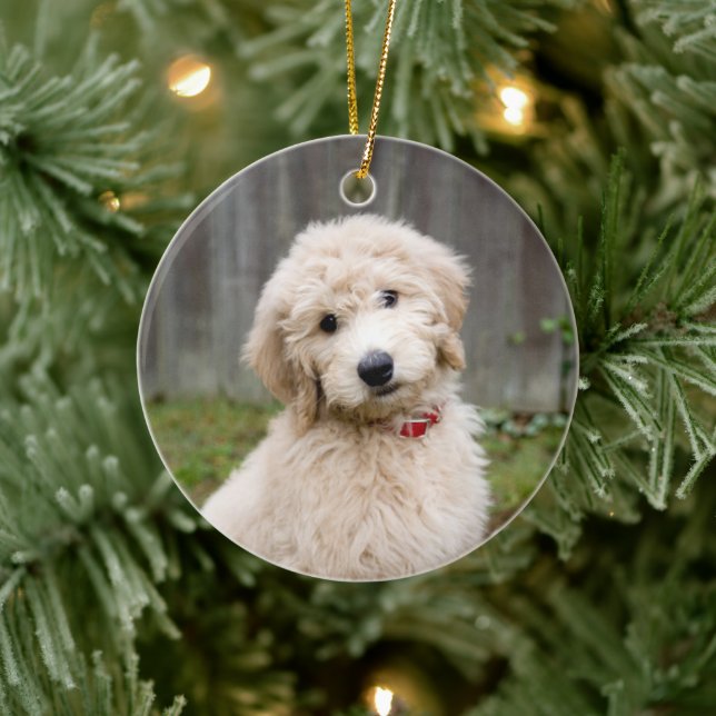 Goldendoodle-Welpen im Gras Keramik Ornament (Baum)