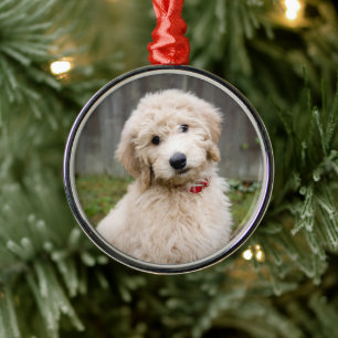Goldendoodle-Welpen im Gras Ornament Aus Metall