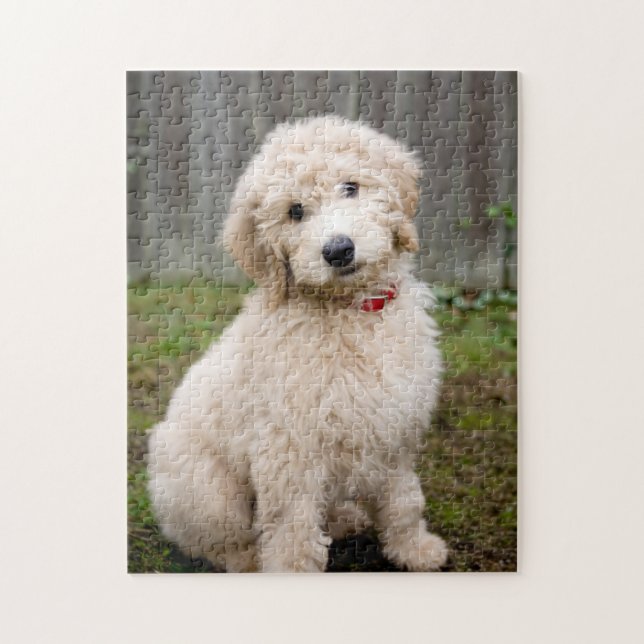 Goldendoodle-Welpen im Gras Puzzle (Vertikal)