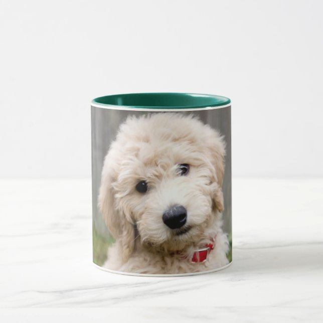Goldendoodle Welpen im Gras Tasse (Zentrum)